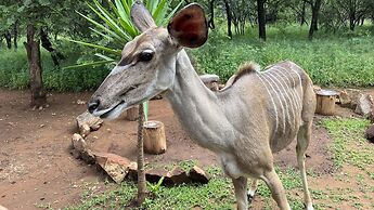 Kruger Kumba - Mugwenzi