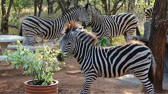 Kruger Kumba - Mugwenzi