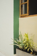 La Casa del Totumo