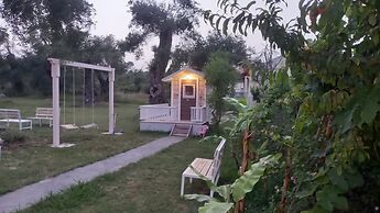 Amelia's Garden