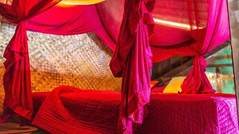 Firefly Eco Lodge
