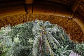 Firefly Eco Lodge