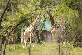 Sasi Bush Lodge