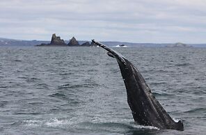 Wavecrest Holiday Cottage