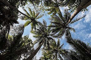 Daintree Beach Resort