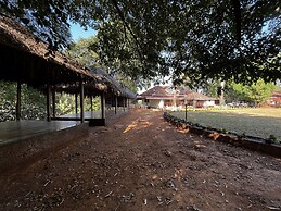 Forest Trails Adventure Resort