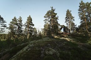 Hilltop Forest