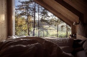 Hilltop Forest