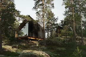 Hilltop Forest
