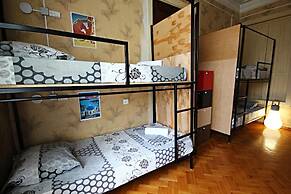 Dingo Backpackers Hostel