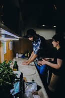 Dingo Backpackers Hostel