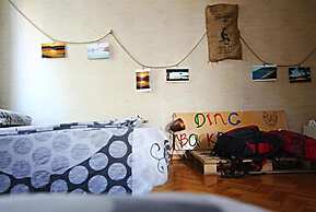 Dingo Backpackers Hostel