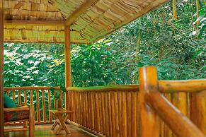 Buhoma Gorilla Camp