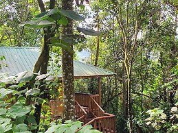 Buhoma Gorilla Camp