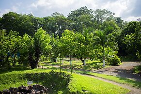 Arenal Descanso