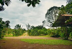Arenal Descanso
