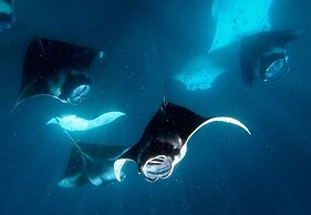 Manta Reserve