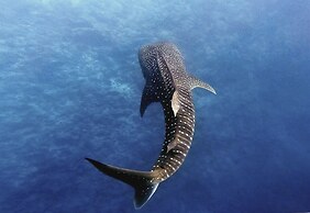 Manta Reserve