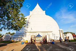 Elephant Eye Hotel