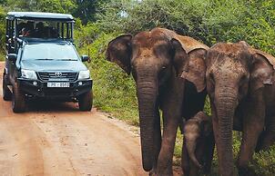 Elephant Eye Hotel