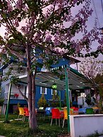 Paradise House