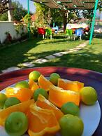 Paradise House