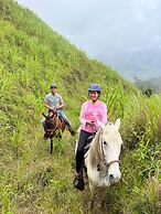 Reventazon River Mountain Lodge