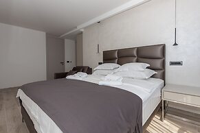 Aurelia 8