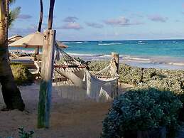 VIK hotel Cayena Beach