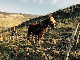 Quinta da Marka