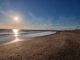 4 Star Holiday Home in Blavand
