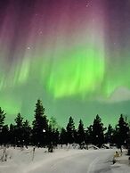 ArcticMagic