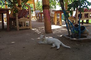 Bedouin lodge luxor