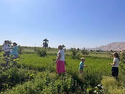 Bedouin lodge luxor