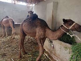 Bedouin lodge luxor