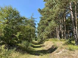 6 Person Holiday Home in Hadsund