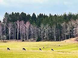 4 Star Holiday Home in Prassebo