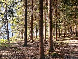 4 Star Holiday Home in Nykvarn
