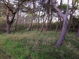 4 Star Holiday Home in Dannemare