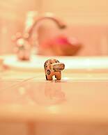 Lions Luxury Eco-Resort & Spa