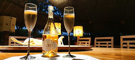 Lions Luxury Eco-Resort & Spa