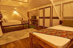 Lions Luxury Eco-Resort & Spa