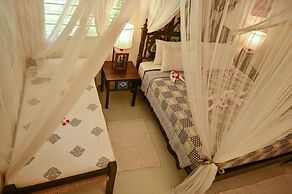 Lions Luxury Eco-Resort & Spa