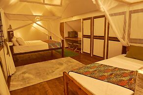 Lions Luxury Eco-Resort & Spa