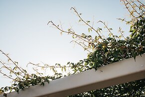 Banksia by the Bay