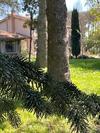 Poggio delle Molare