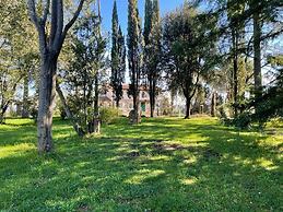 Poggio delle Molare