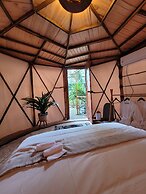 Nido Ecoluxury Treehouse - Casa de Arbol