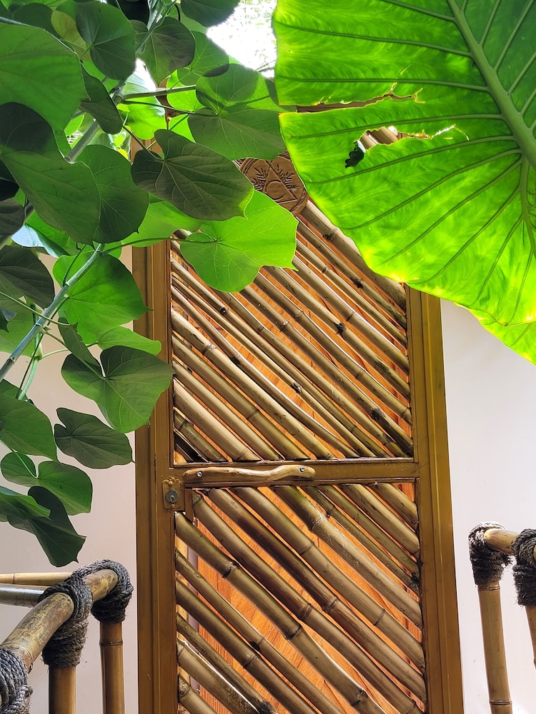 Nido Ecoluxury Treehouse - Casa de Arbol