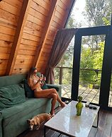 Hotel Sierra Tigre
